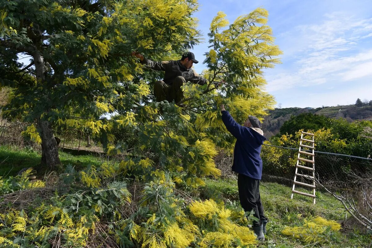 © Sputnik / Томас Тхайцук