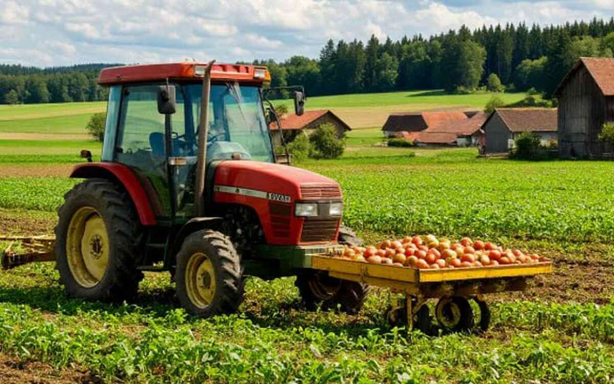    Российский АПК: от сырьевой модели к управляемому росту. Что отчет «Русагро» за 2025 год говорит о будущем агробизнеса Иллюстрация: нейросеть «Шедеврум»
