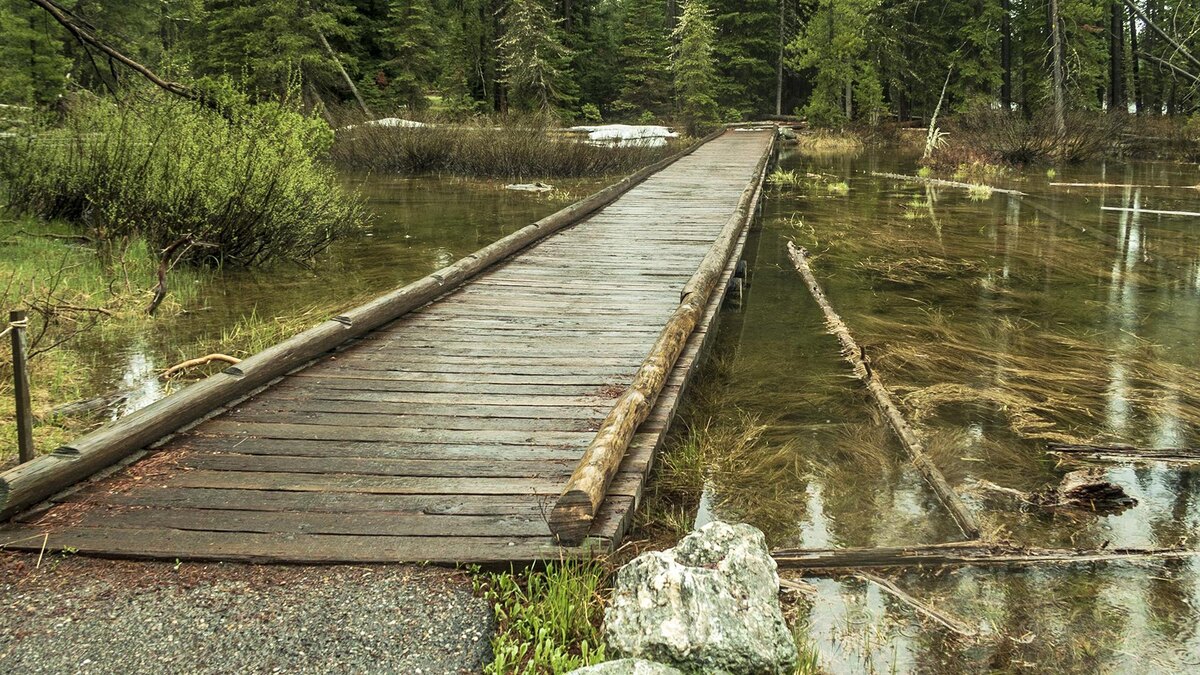    Фото: freepik.com/wirestock