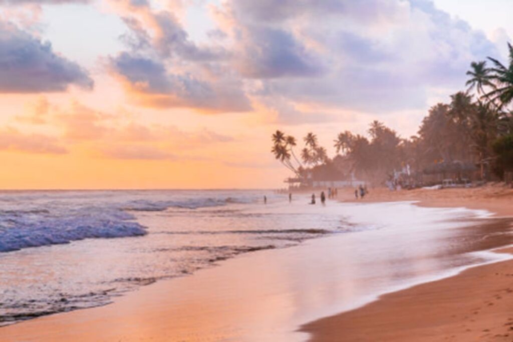    Фото: istockphoto.com/ru