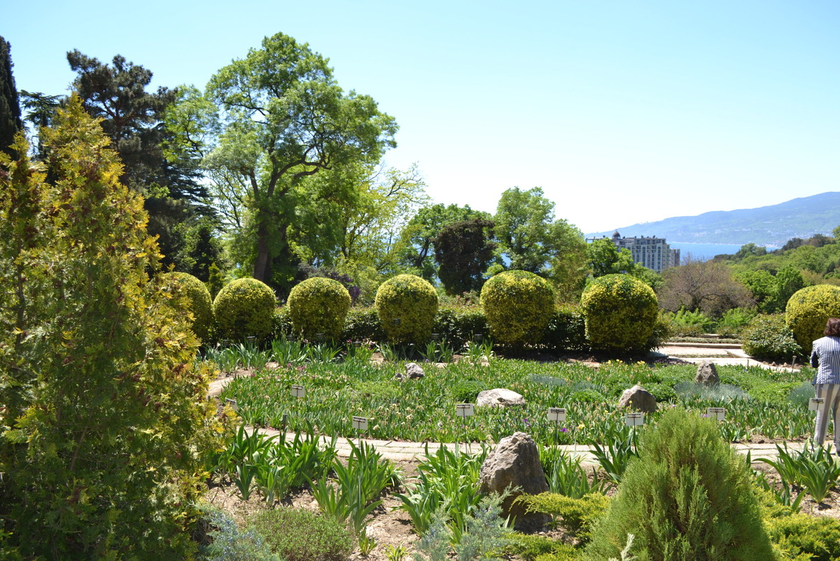    Откройте для себя незабываемые однодневные поездки из Алушты: лучшие маршруты и секреты местных достопримечательностей admin