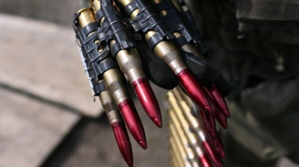    © Sputnik / Евгений Биятов