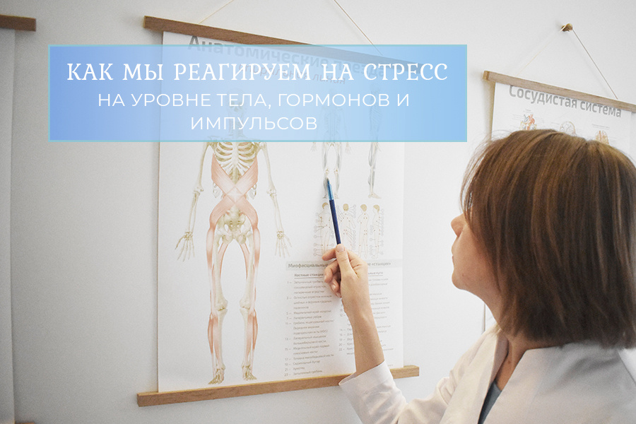 Кандидат Медицинских Наук, врач-остеопат, невролог, телесно-ориентированный терапевт – Екатерина Буркова