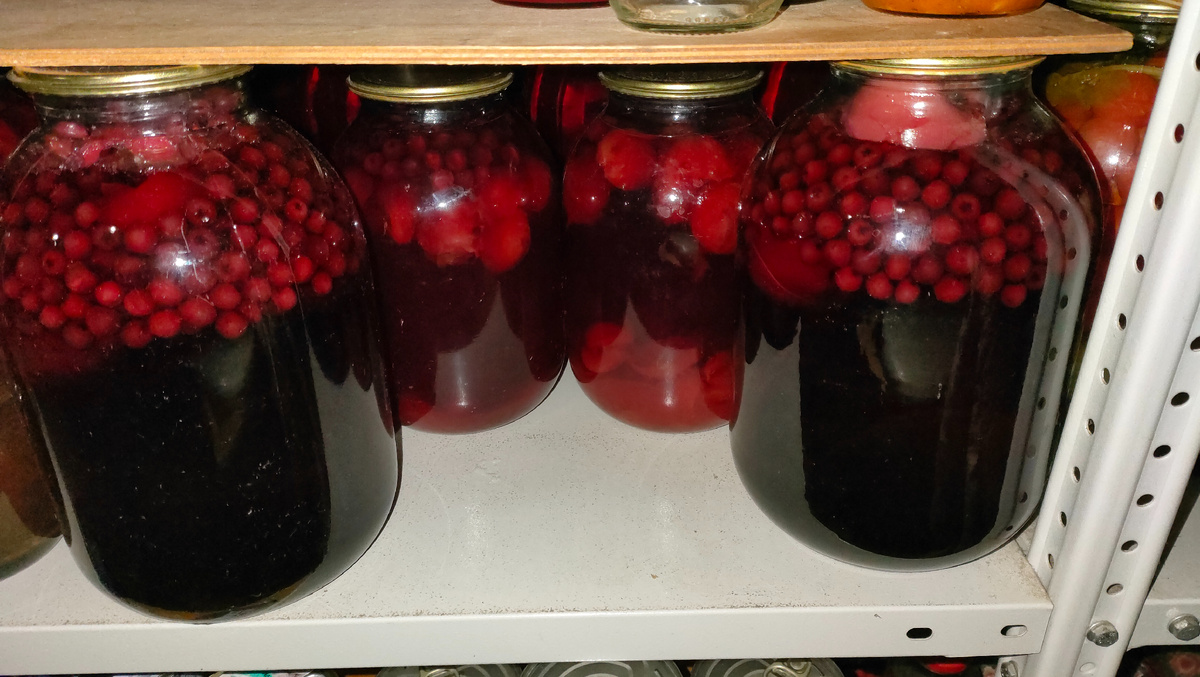 03.09.25 Компот из яблок и рябины черноплодной