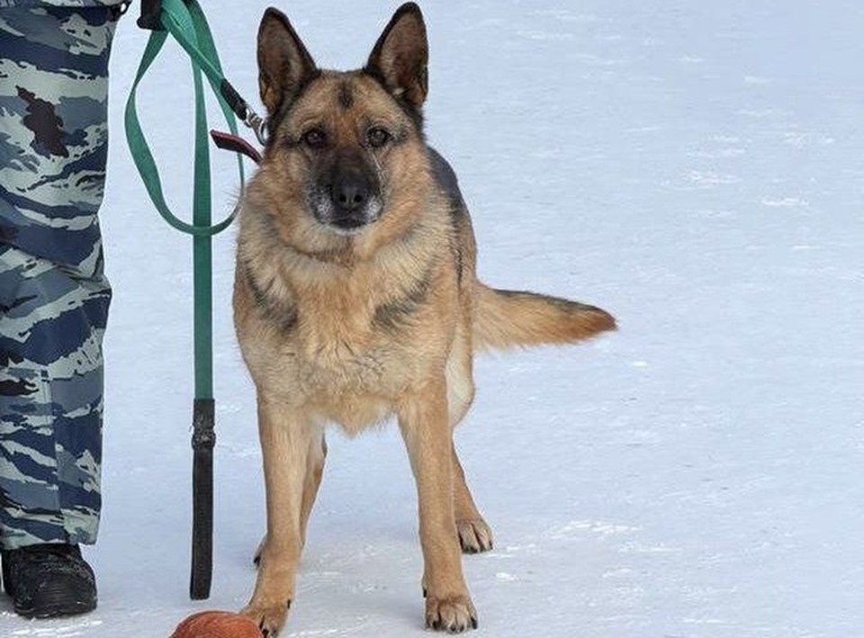    Фото: УМВД по ХМАО-Югре