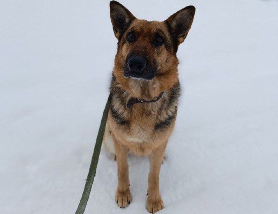    Фото: УМВД по ХМАО-Югре