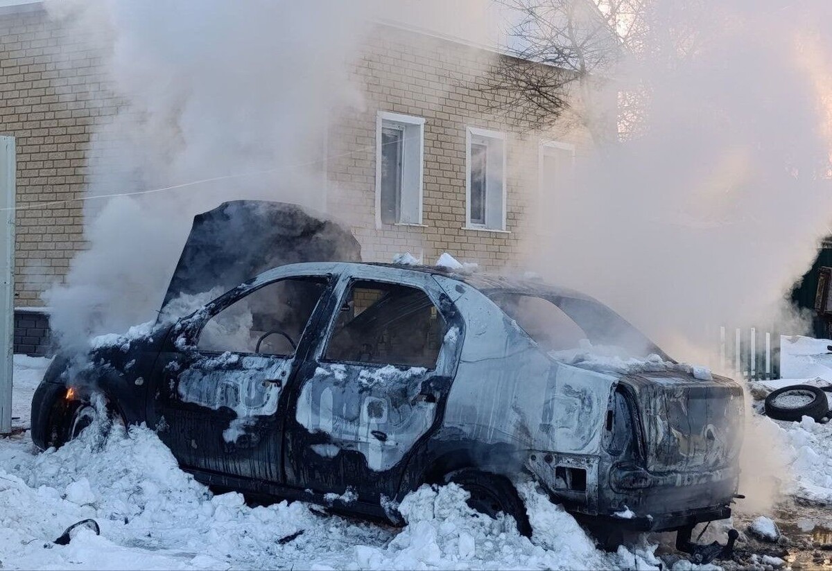     / Источник: © Официальный Telegram-канал губернатора Белгородской области Вячеслава Гладкова