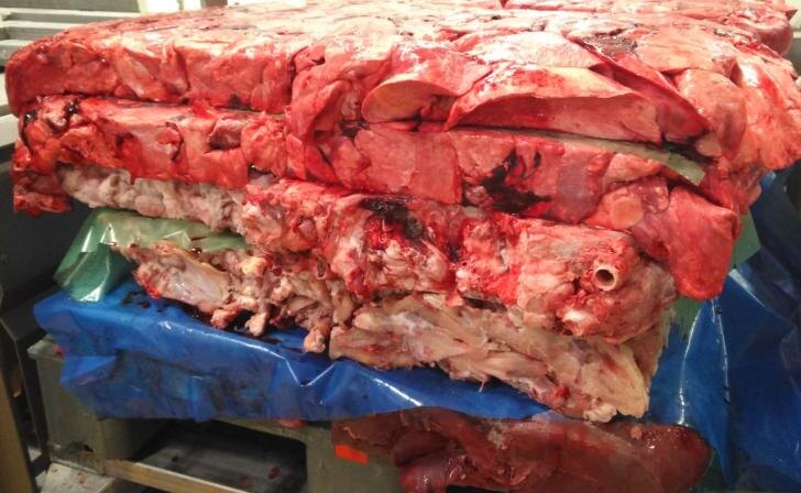    фото Курские известия