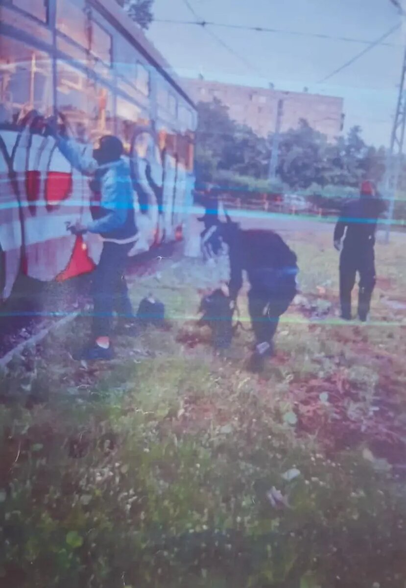    Фото: объединенная пресс-служба судов Петербурга