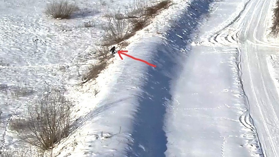    Нарушителя границы зафиксировали камеры видеонаблюдения. Автор фото: Служба охраны госграницы Литвы/vsat.lrv.lt