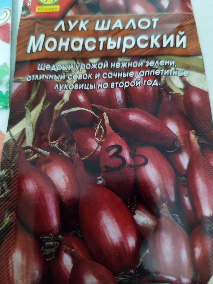 Дешевый,, Монастырский,, взошёл отлично! 