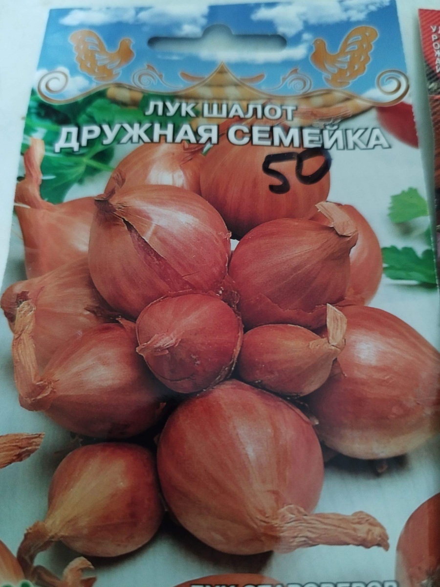 Увы, этот не взошёл ,вообще.