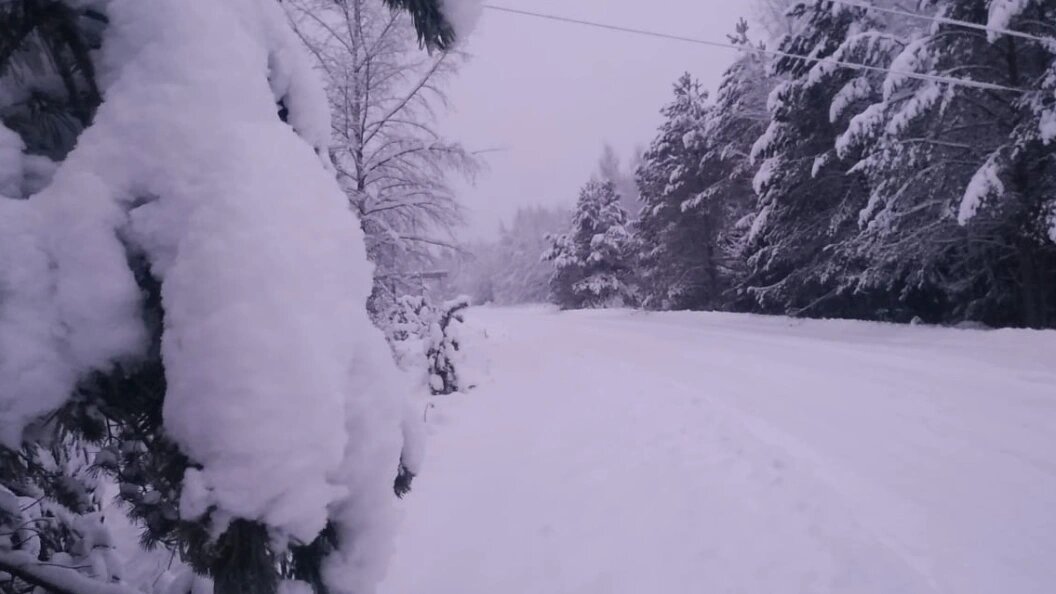    Фото: Телеканал Царьград