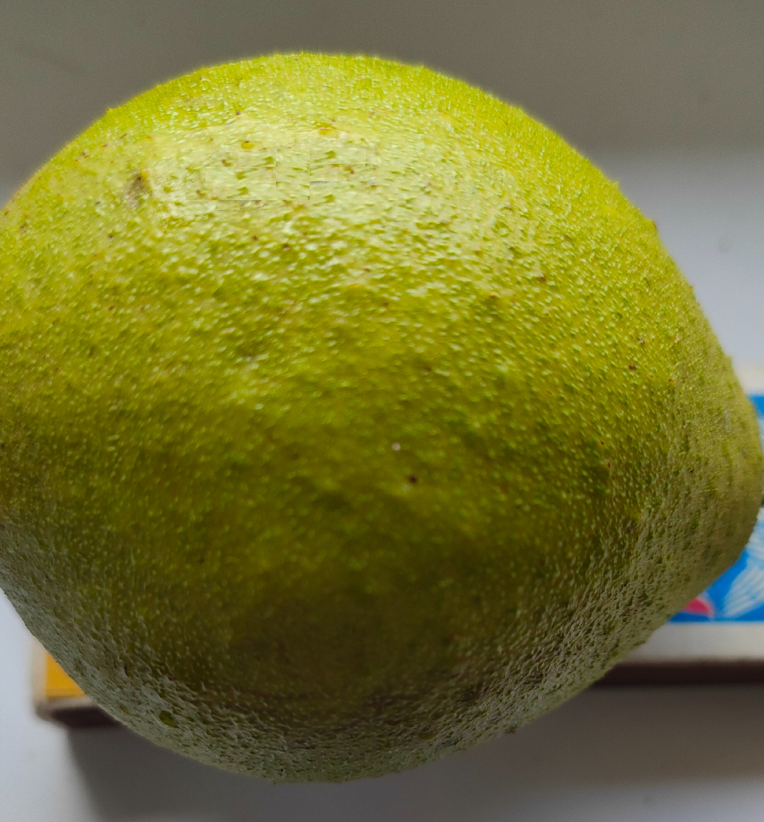 14.10.25 Орех маньчжурский