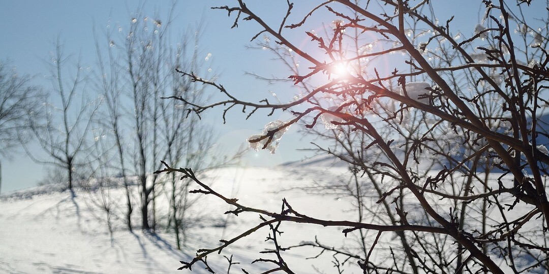 Мороз и солнце; день чудесный!