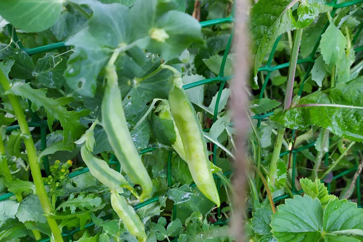    Фото Андрея Заржецкого