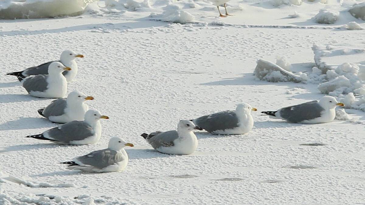    Фото: Василий Кузьмиченок / АГН Москва