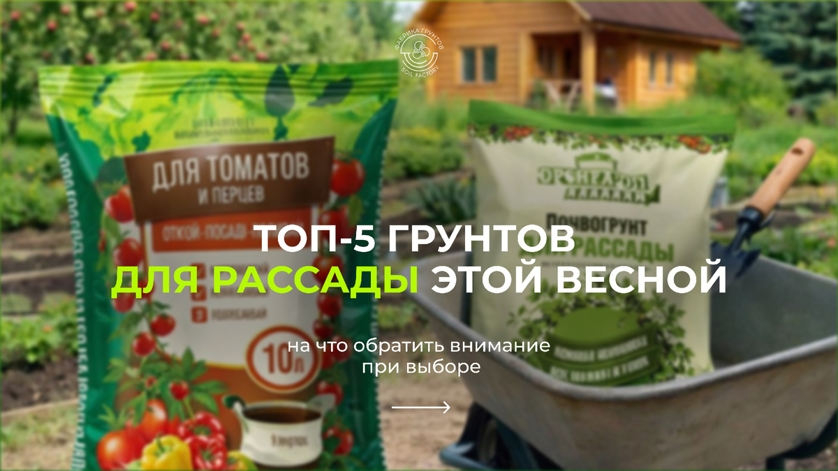 Грунты для рассады этой весной