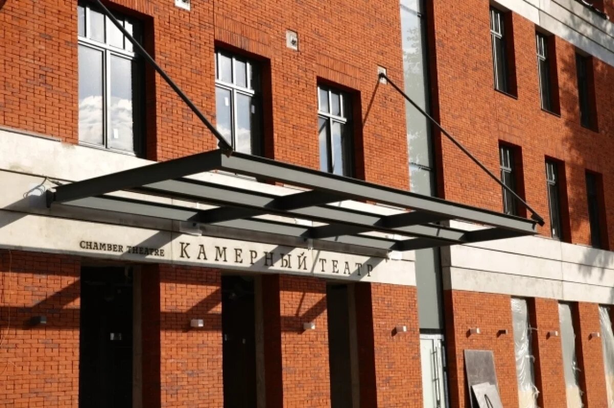    Актрисе Воронежского камерного театра объявлена благодарность от Путина