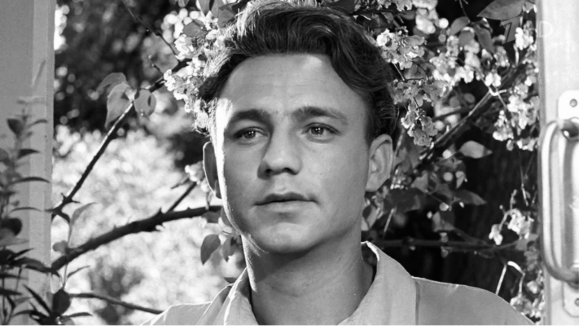 Николай Рыбников: судьба кумира советских женщин