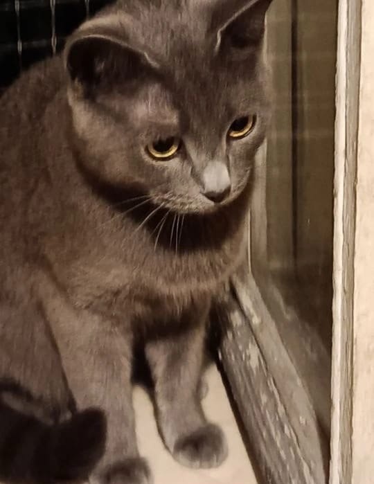 Я ждала, но наверное, мой дом в другом месте