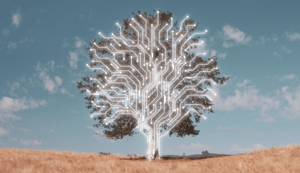 Создать карусель