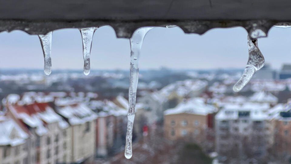 Фото: © IMAGO/Ayman Alahmed/TASS