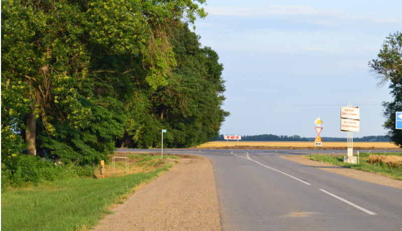 Фото автора. Июнь 2023. Поля колхозные.