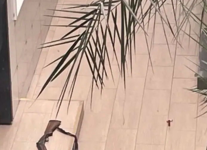 Фото: соцсети