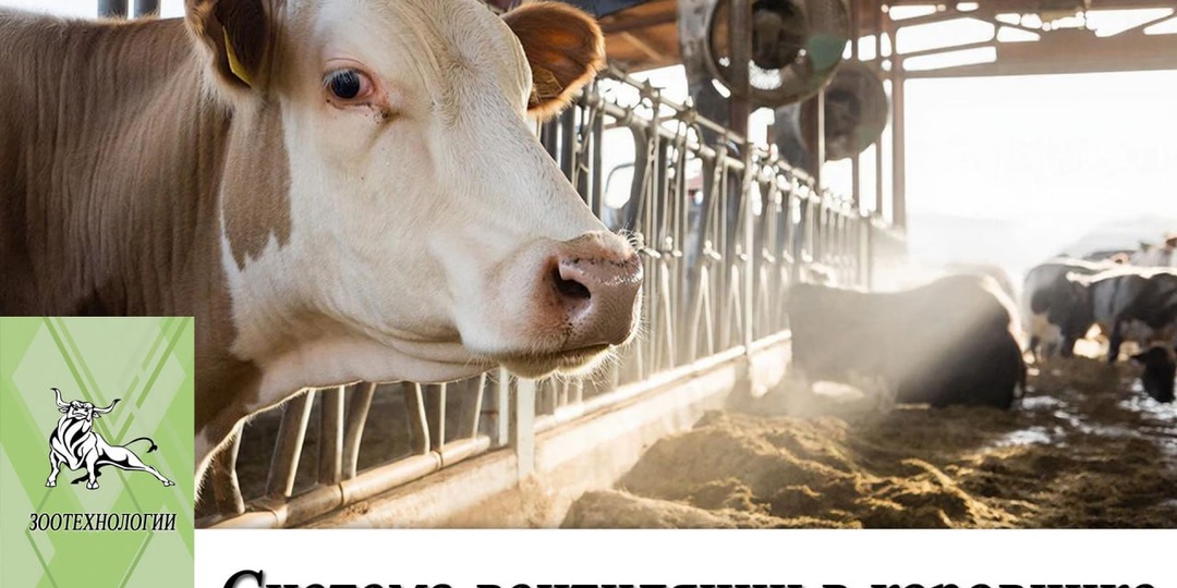 Система вентиляции в коровнике