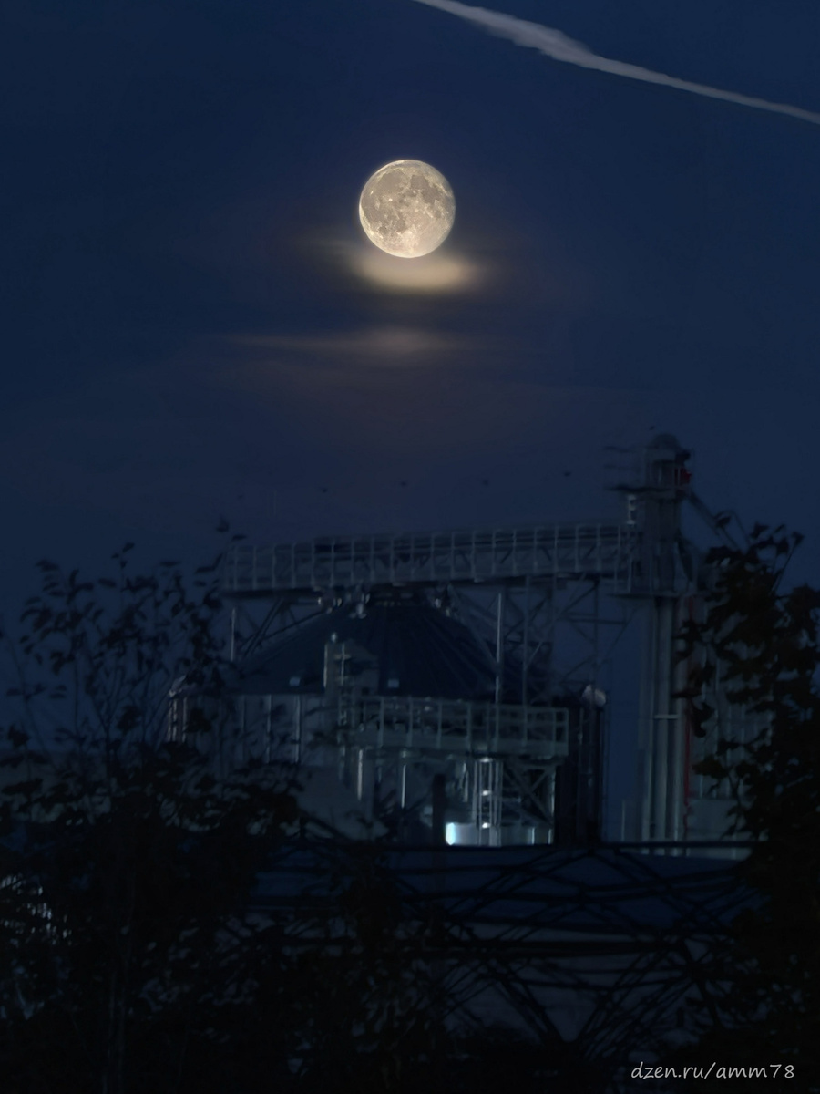 Huawei Pura 70 Pro; ЭФР=270мм; f/2.1; 1/211; ISO 50; AI