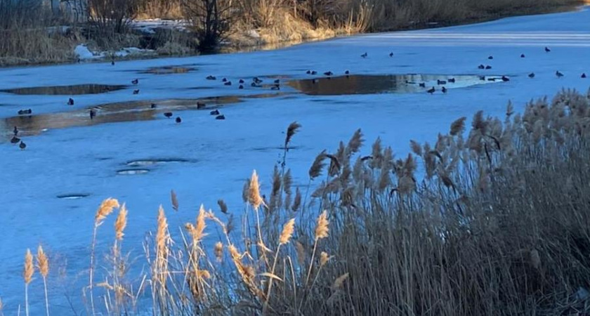    Пресс-служба Правительства Тамбовской области