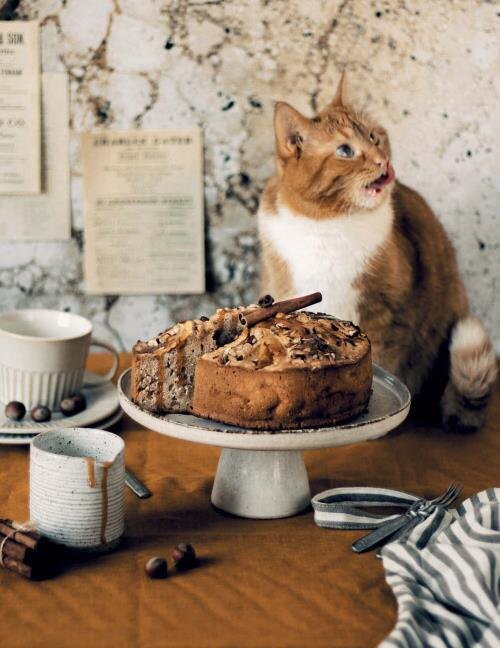 Фото из книги Ольги Демьяновой "Время десерта – сейчас"