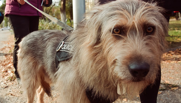 Нужен ли нам такой налог, это большой вопрос. Фото: 1MI