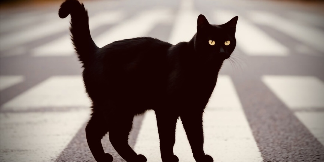 Пятница 13-е: почему этот день несчастливый и что в него нельзя делать?