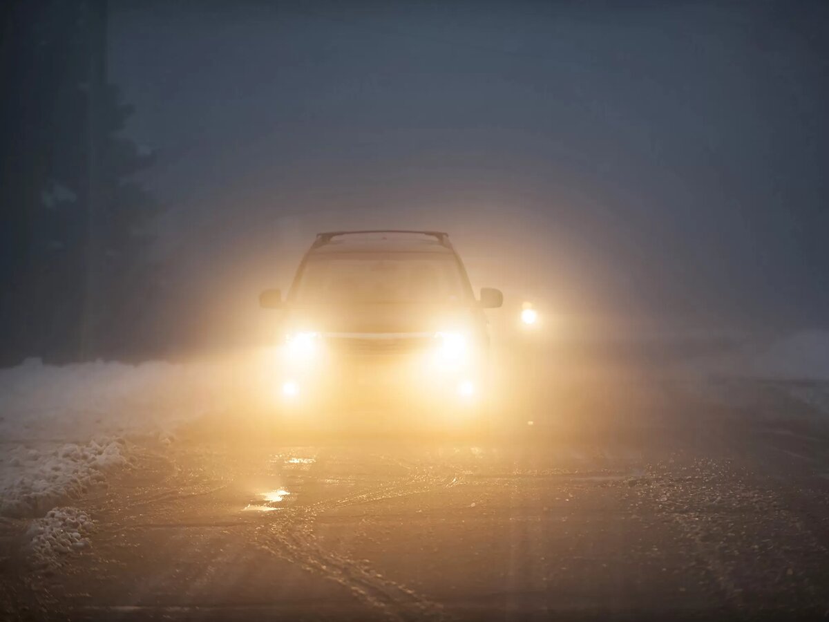 Автор фото: elenathewise, depositphotos.com