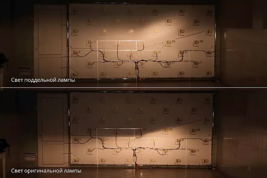 Автор фото: пресс-служба Nobium