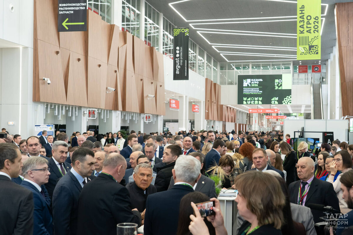 Фото: © Салават Камалетдинов / «Татар-информ»