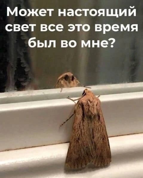 Борьба с собой - каббала