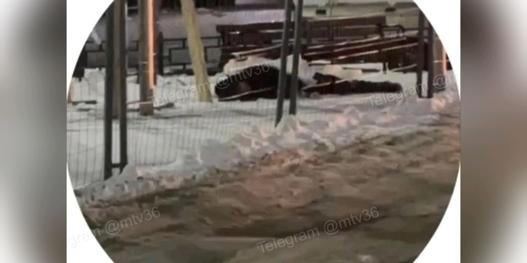 Тело подростка нашли у ТЦ в центре Воронежа