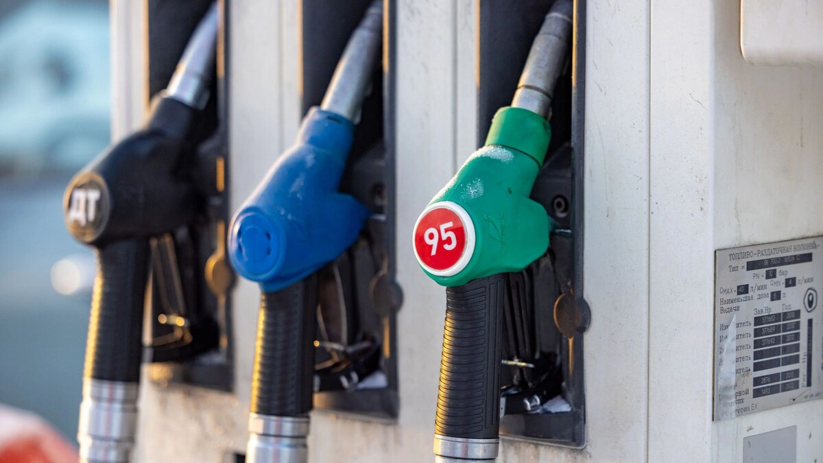    Фото: Сергей Зубков/«Ямал-Медиа»