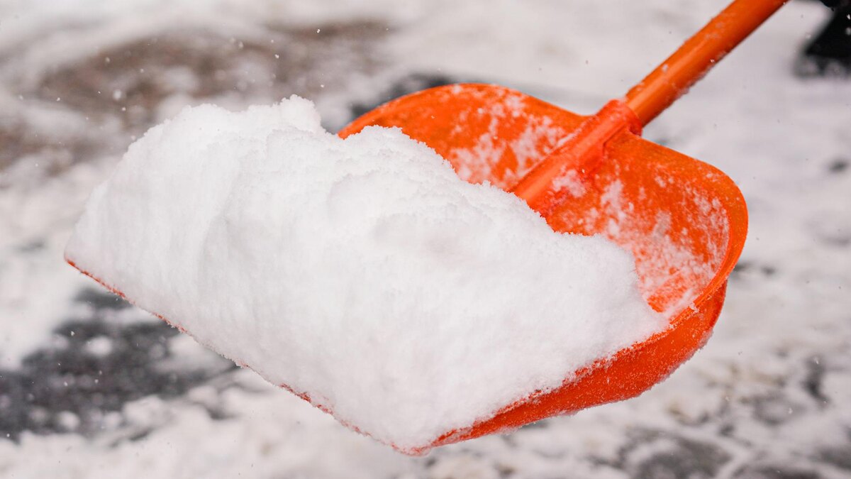    Фото: ИЗВЕСТИЯ/Анна Селина