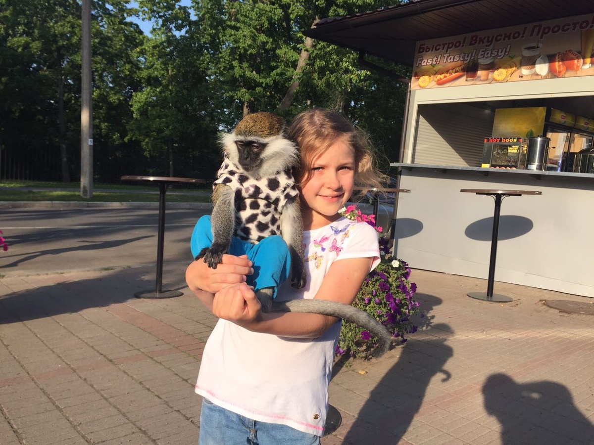 Мы готовы приютить всех животных