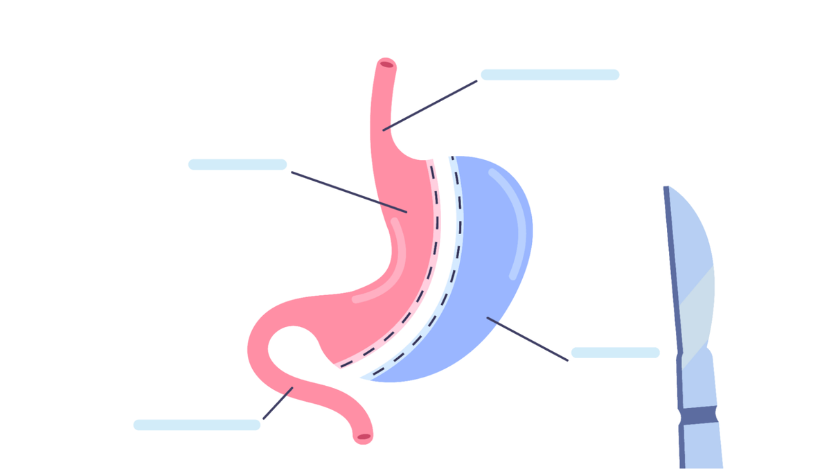 Фото: goonerua (freepik.com)