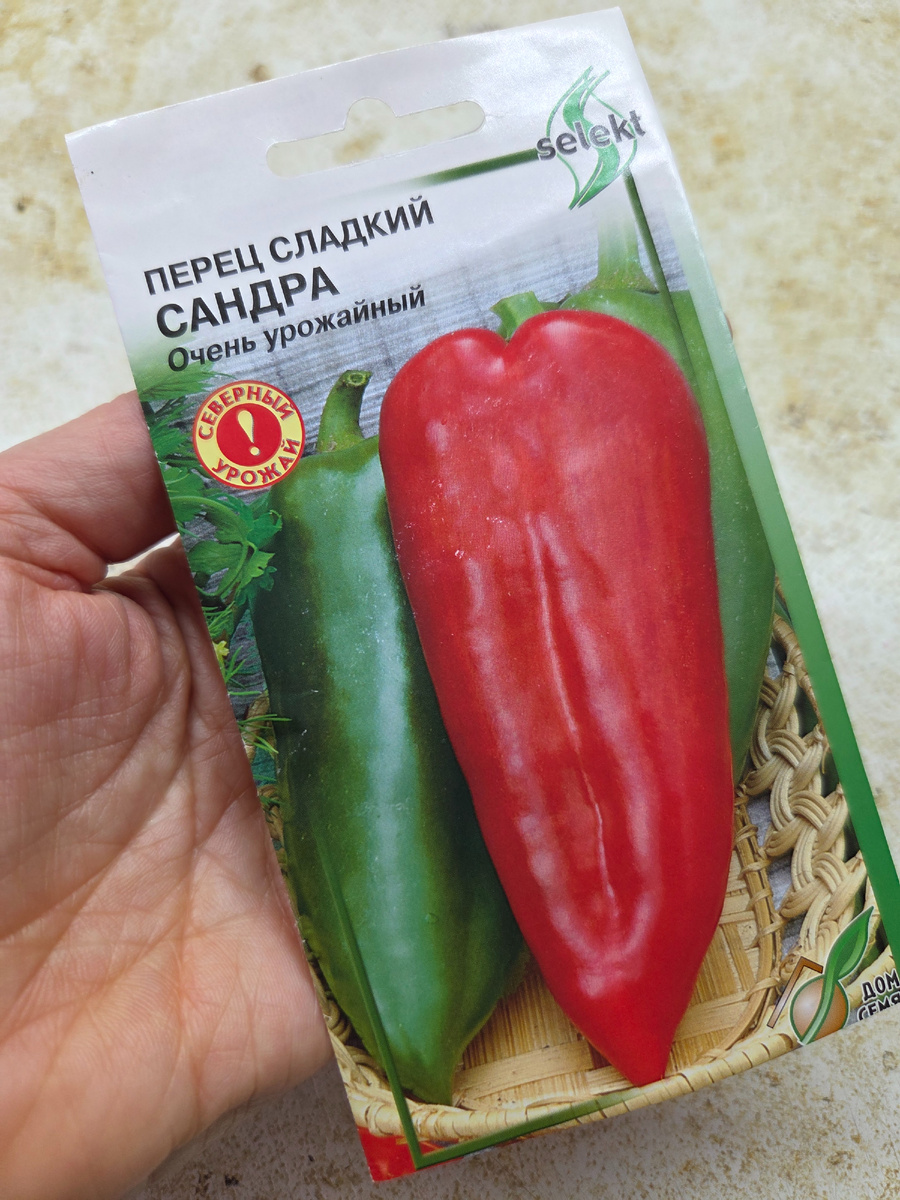 Сажаю Сандру. Фото: Зеленая леди, сад, семья и томатный сок