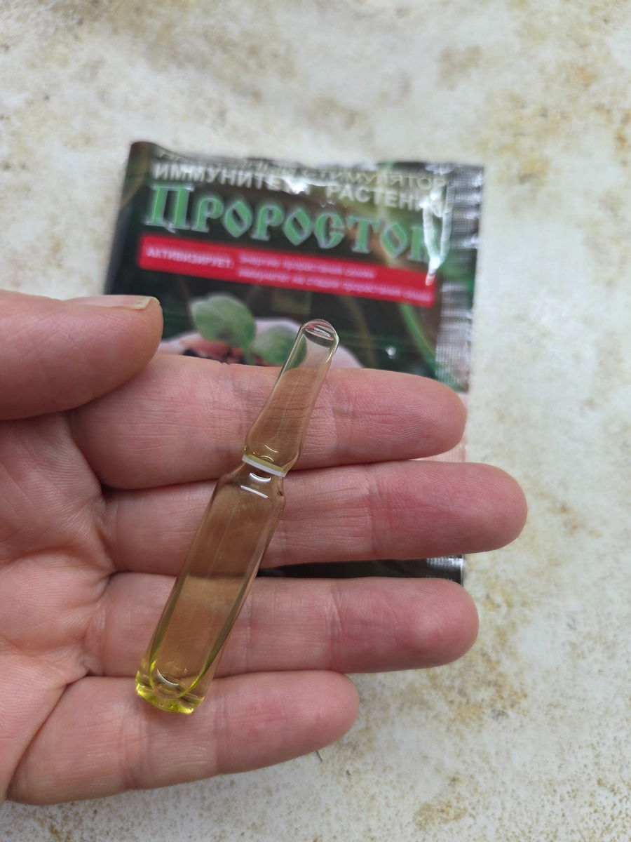Препарат арахидоновой кислоты. Внутри упаковки препарата Проросток - стеклянная ампула. Листайте вправо.... Фото: Зеленая леди, сад, семья и томатный сок