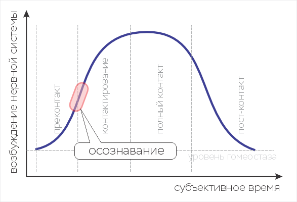 Цикл контакта. (c) Егор Мазурок