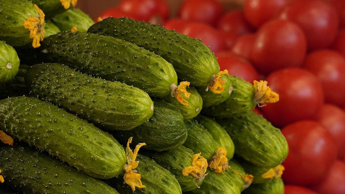    Фото: Анатолий Цымбалюк / Вечерняя Москва