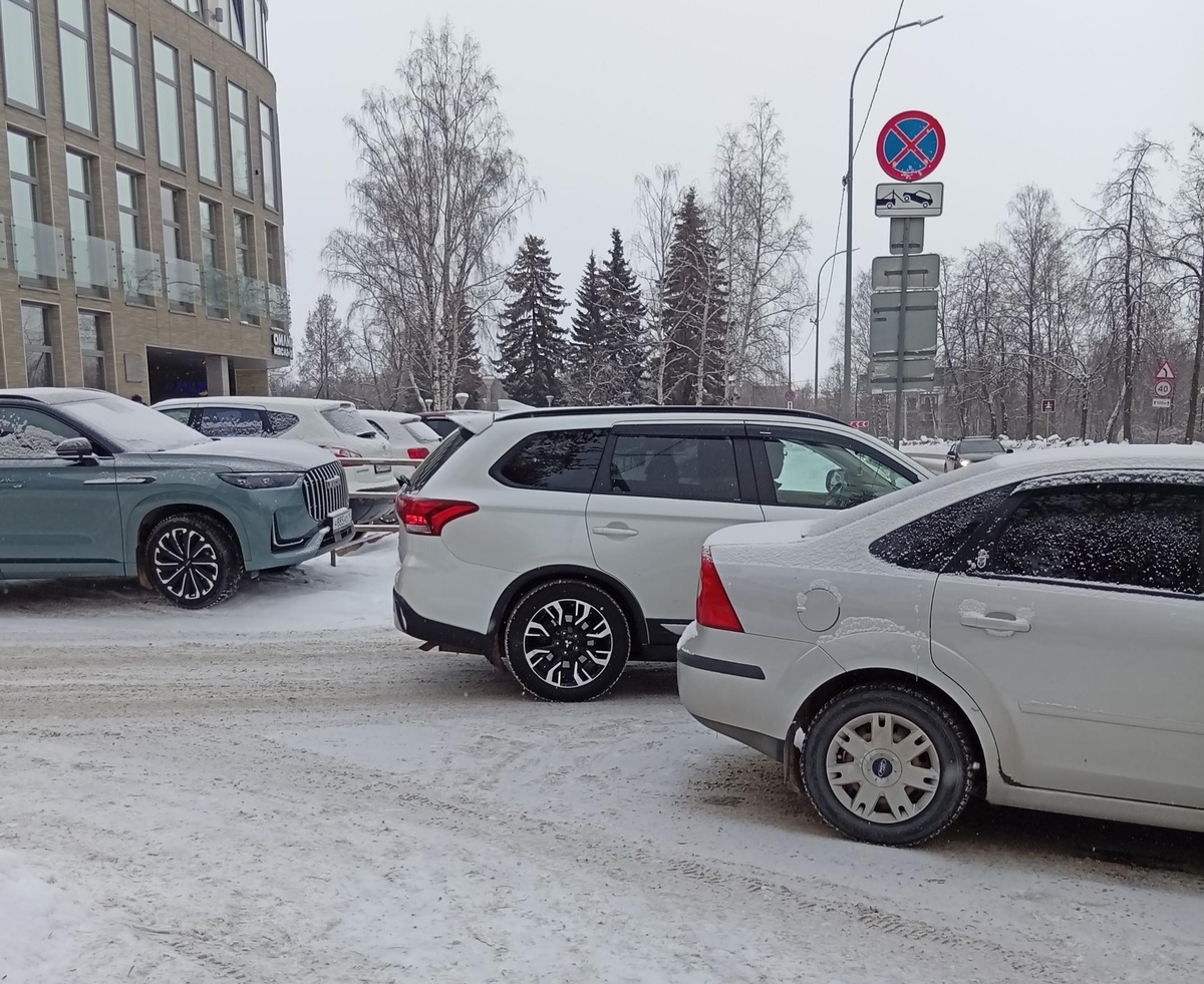    фото: © ГАИ Петрозаводска