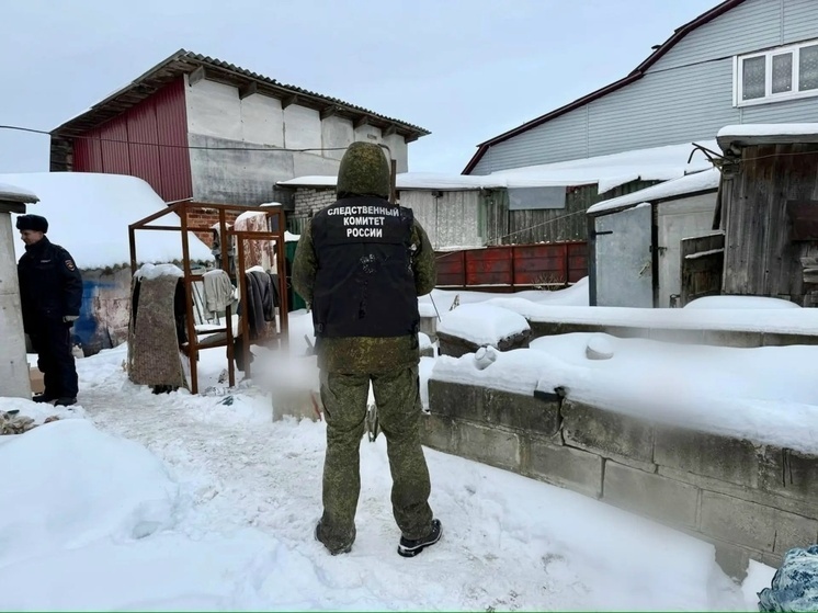     Фото СУ СК России по Курской области